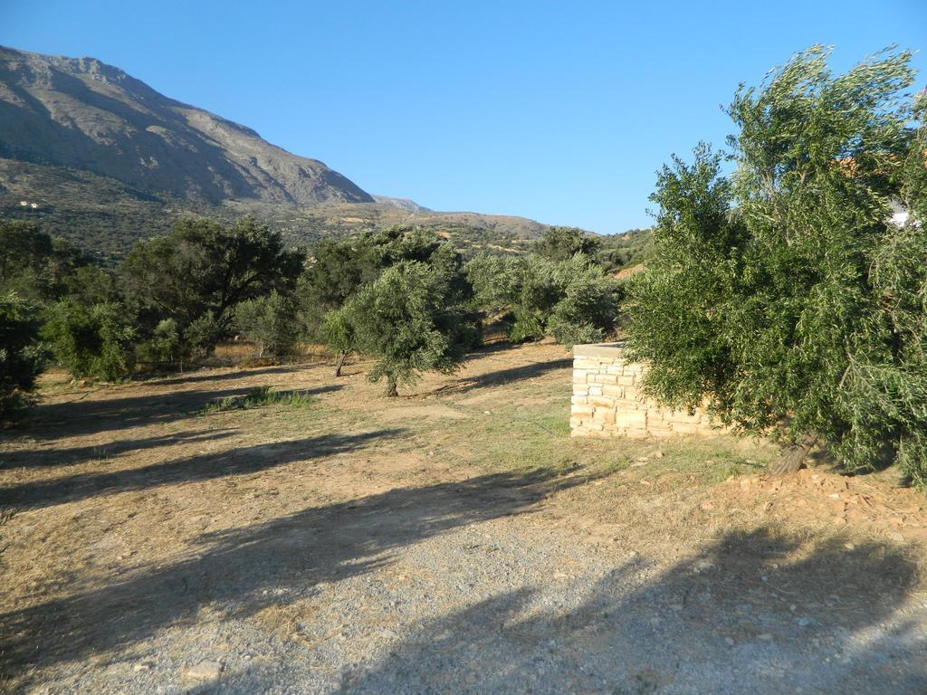 Maria Place تريوبيترا المظهر الخارجي الصورة